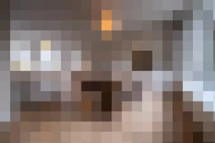 Plataanweg 24 Roden thumbnail 4