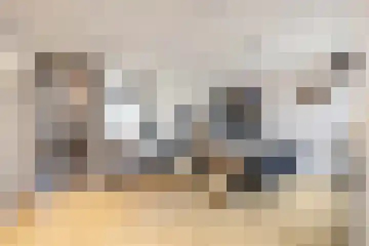 Plataanweg 32 in Roden