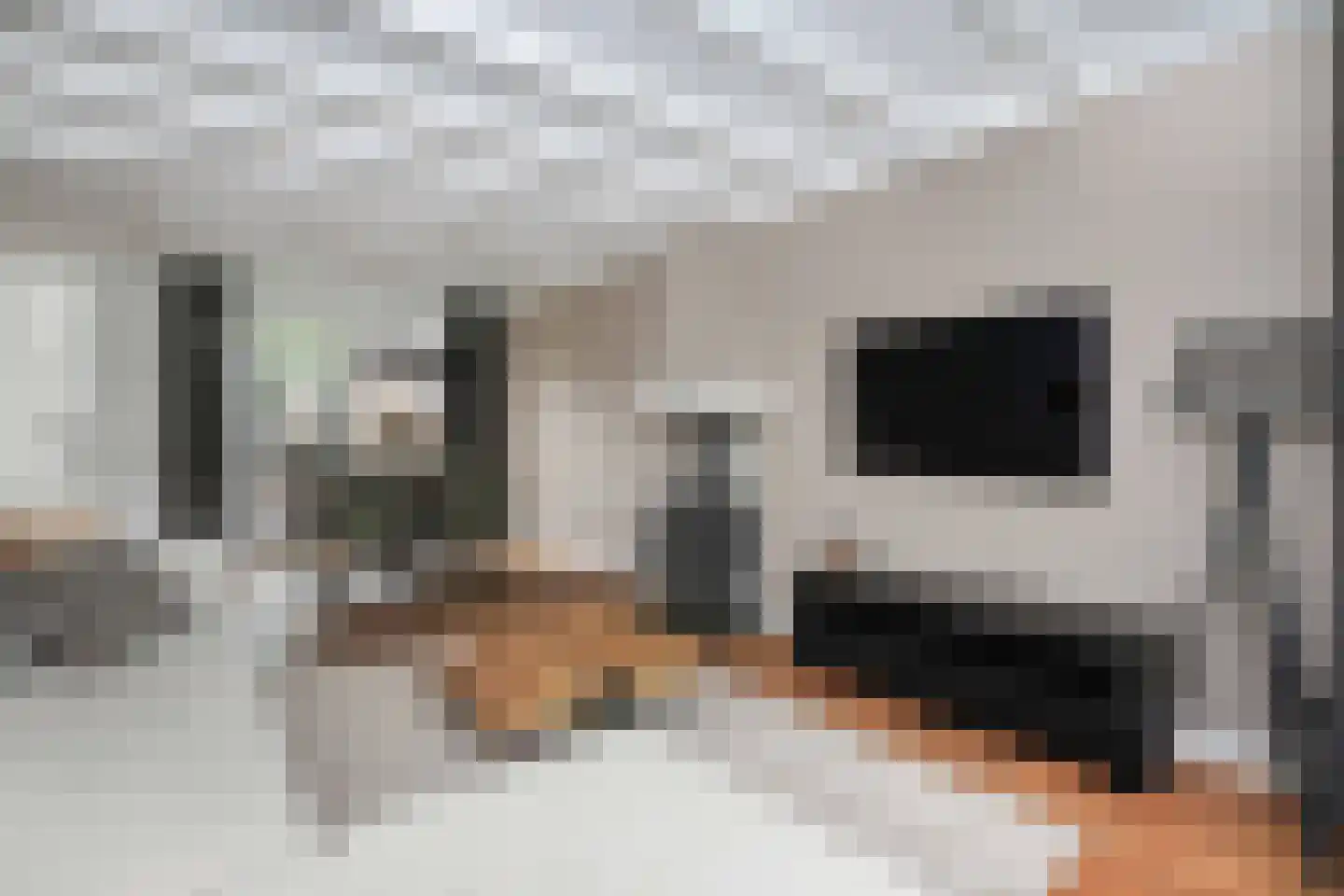Plataanweg 32 Hoogland thumbnail 9