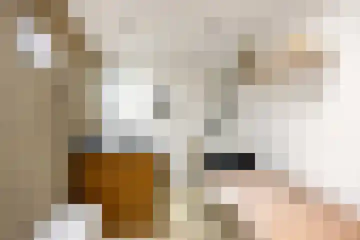 Plataanweg 32 Roden thumbnail 16