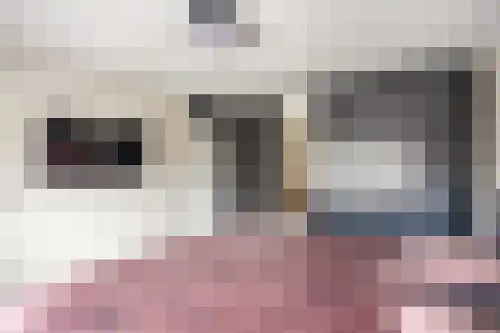 Plataanweg 32 Roden thumbnail 20
