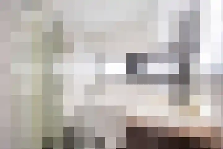 Plataanweg 32 Roden thumbnail 24