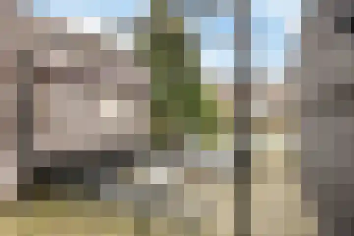 Plataanweg 32 Roden thumbnail 28