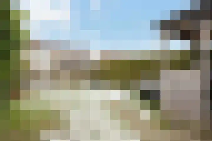 Plataanweg 32 Roden thumbnail 29