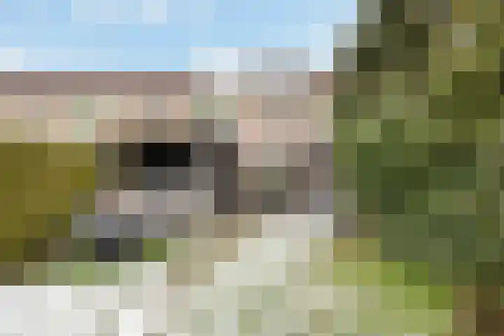 Plataanweg 32 Roden thumbnail 30