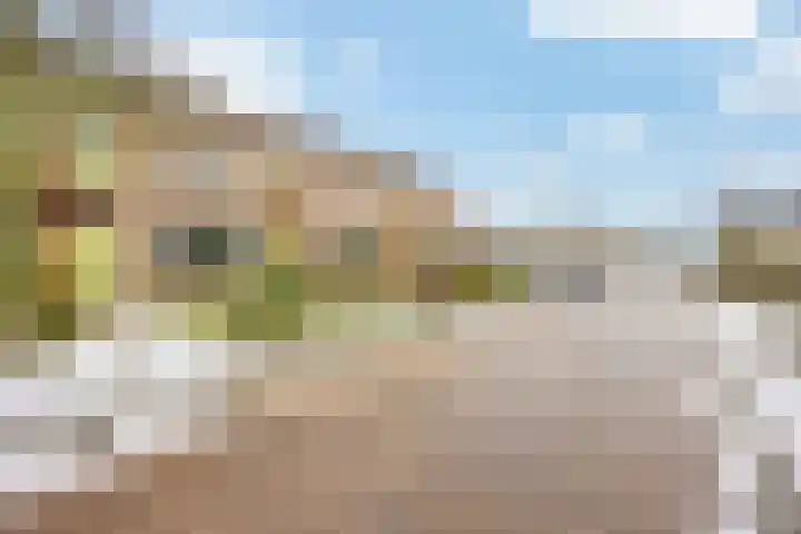 Plataanweg 32 Roden thumbnail 32