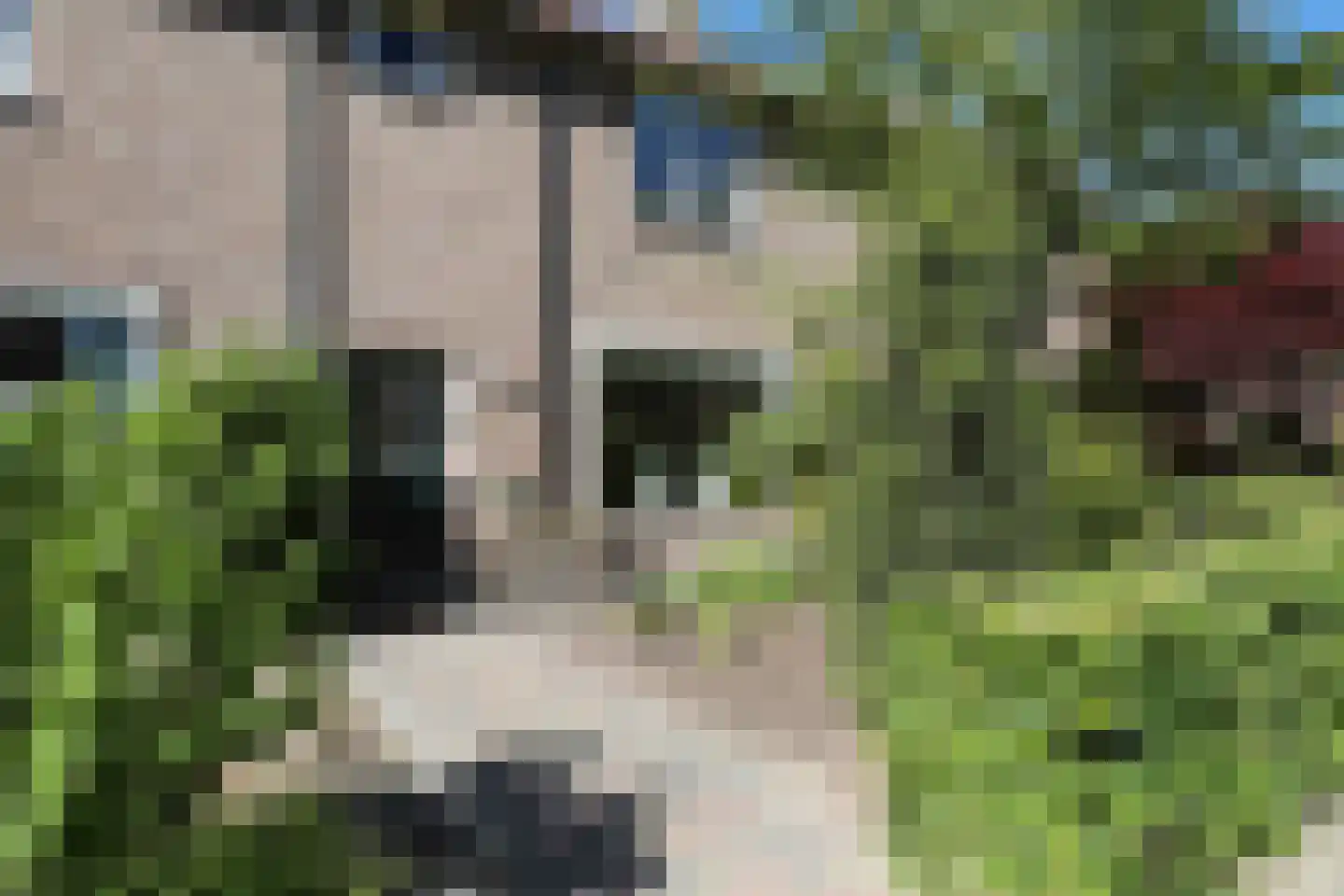 Plataanweg 34 Hoogland thumbnail 6