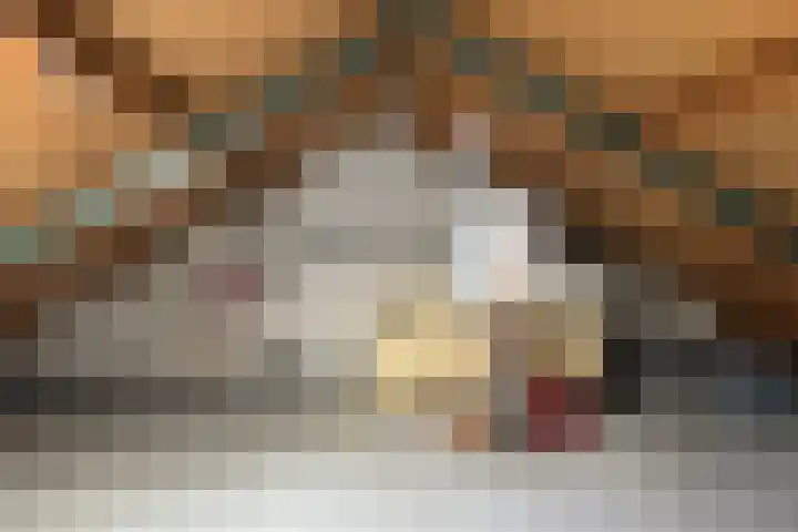 Plataanweg 34 Roden thumbnail 19