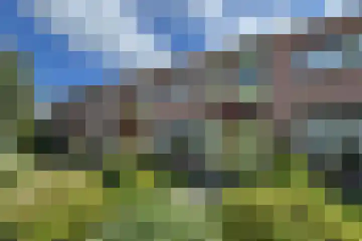 Plataanweg 34 Roden thumbnail 27
