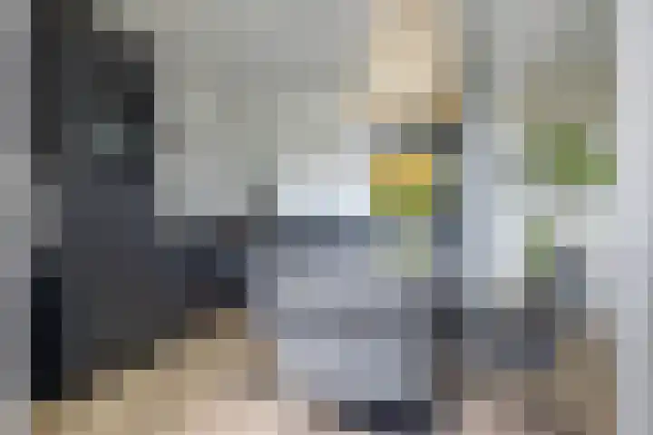 Plataanweg 36 Zaandijk thumbnail 10
