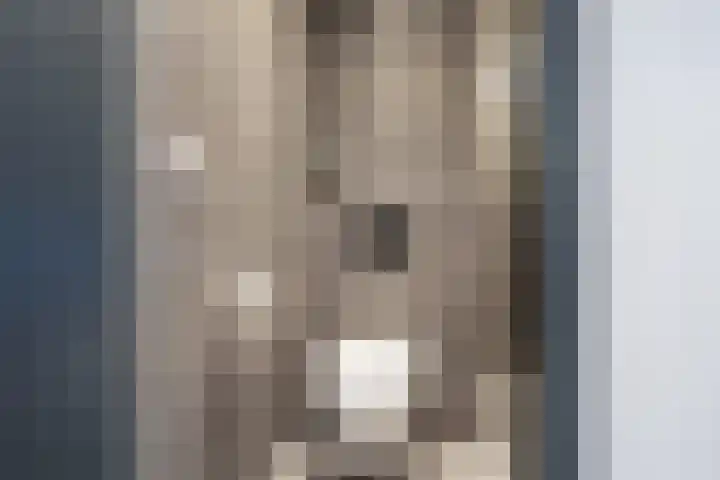 Plataanweg 36 Zaandijk thumbnail 21