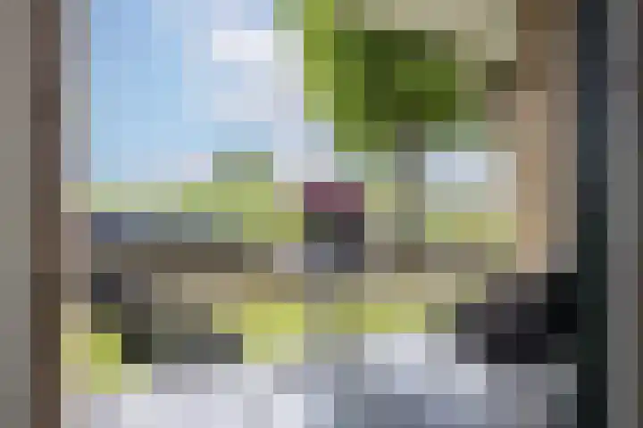 Plataanweg 36 Zaandijk thumbnail 23