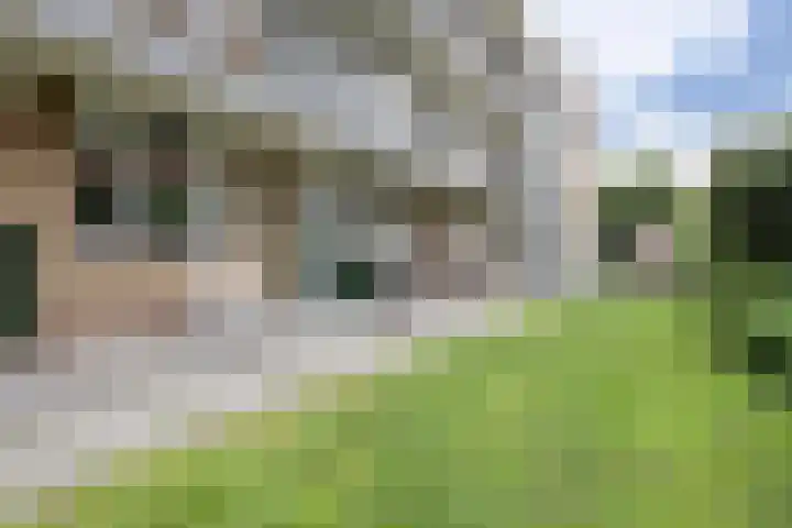 Plataanweg 36 Zaandijk thumbnail 25