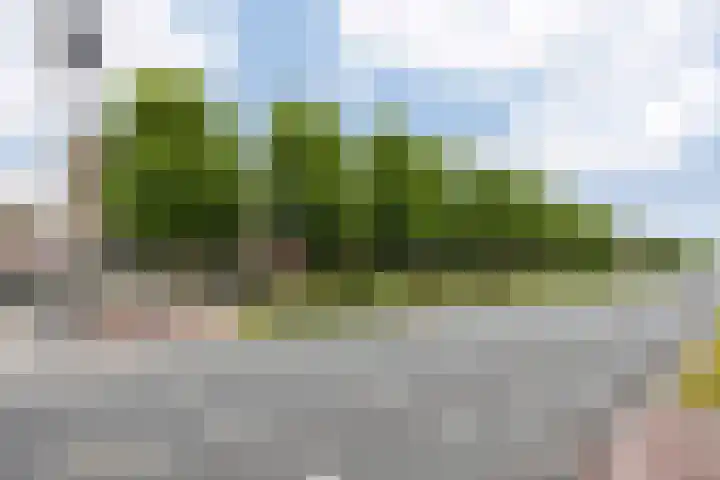 Plataanweg 36 Zaandijk thumbnail 26