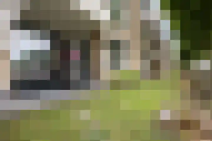 Plataanweg 36 Zaandijk thumbnail 28