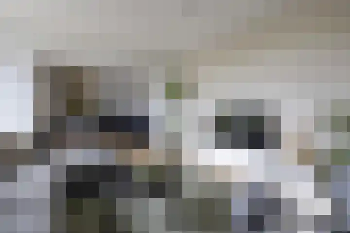 Plataanweg 36 Zaandijk thumbnail 4