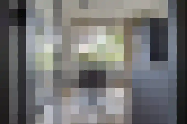 Plataanweg 36 Zaandijk thumbnail 6