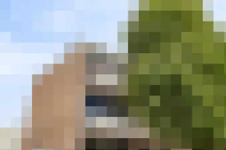 Plataanweg 59 Zaandijk thumbnail 5