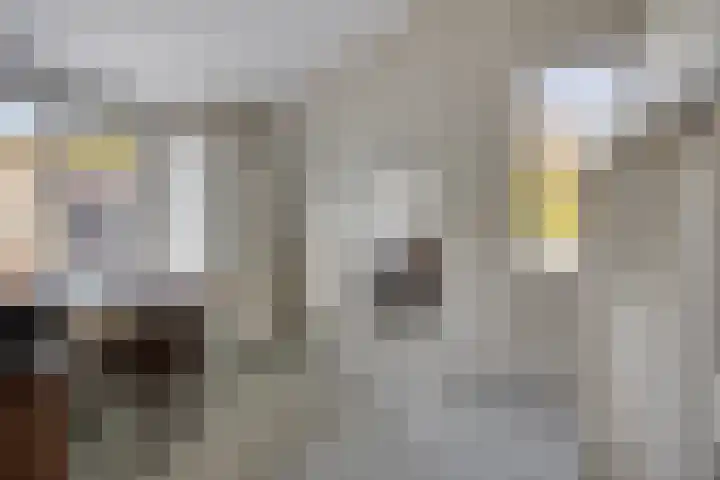 Platanendreef 100 Vlaardingen thumbnail 16