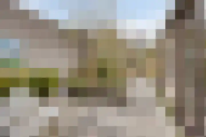 Platanendreef 100 Vlaardingen thumbnail 19