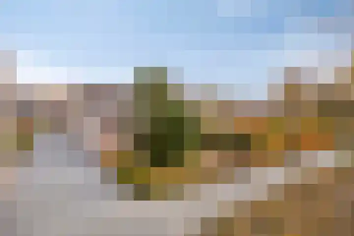 Platanendreef 100 Vlaardingen thumbnail 21