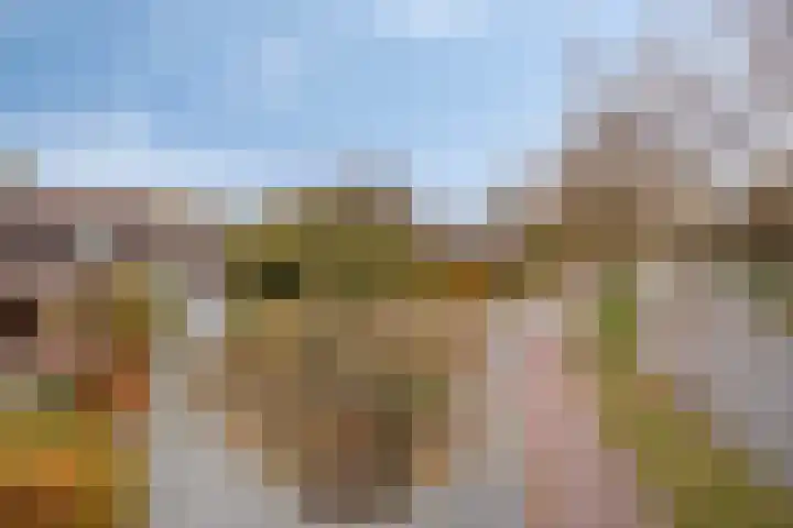 Platanendreef 100 Vlaardingen thumbnail 22