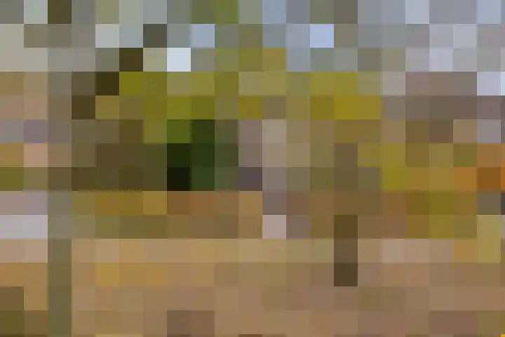 Platanendreef 100 Vlaardingen thumbnail 23