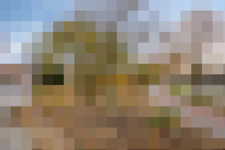 Platanendreef 100 Vlaardingen thumbnail 25