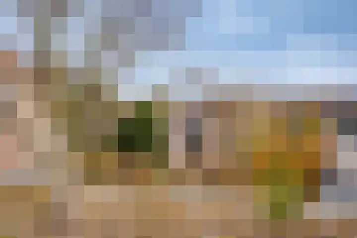 Platanendreef 100 Vlaardingen thumbnail 4