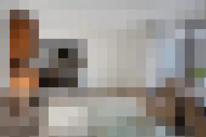 Platanendreef 100 Vlaardingen thumbnail 6