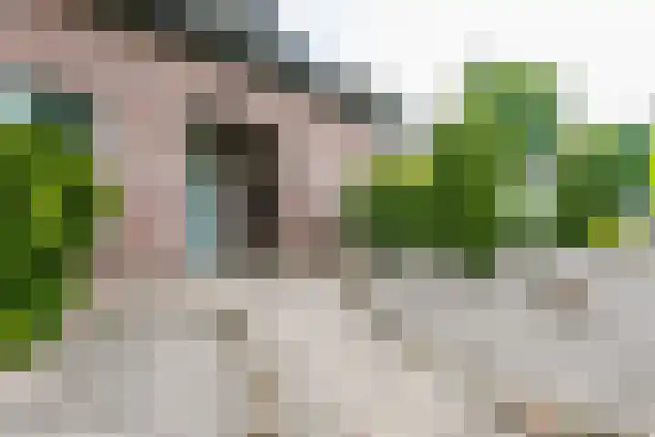 Platanendreef 102 Brunssum thumbnail 4