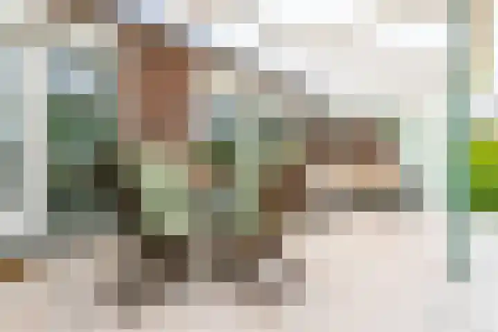 Platanendreef 102 Brunssum thumbnail 49