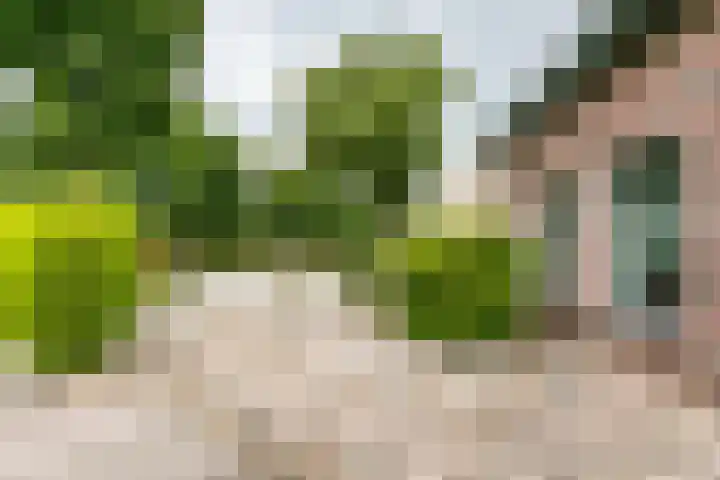 Platanendreef 102 Brunssum thumbnail 5