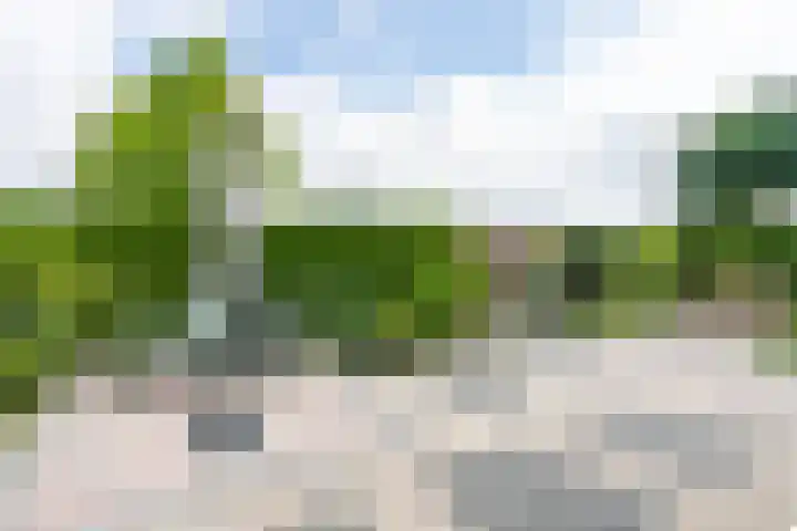 Platanendreef 102 Brunssum thumbnail 51