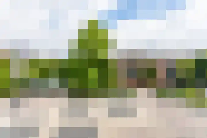 Platanendreef 102 Brunssum thumbnail 52
