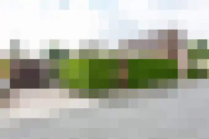 Platanendreef 102 Brunssum thumbnail 57