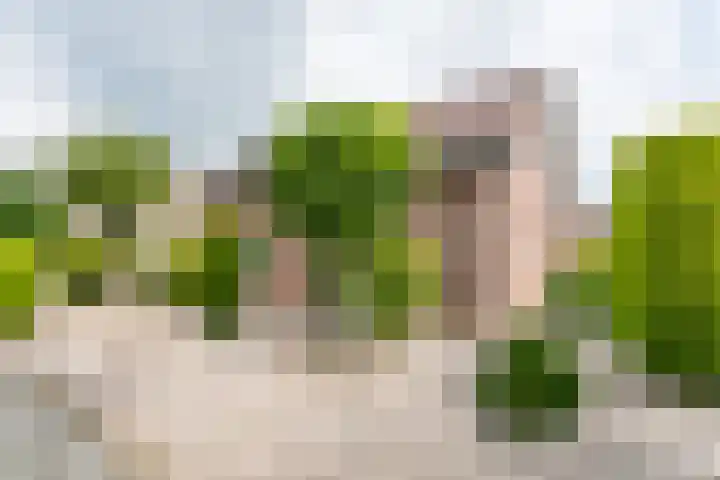 Platanendreef 102 Brunssum thumbnail 60