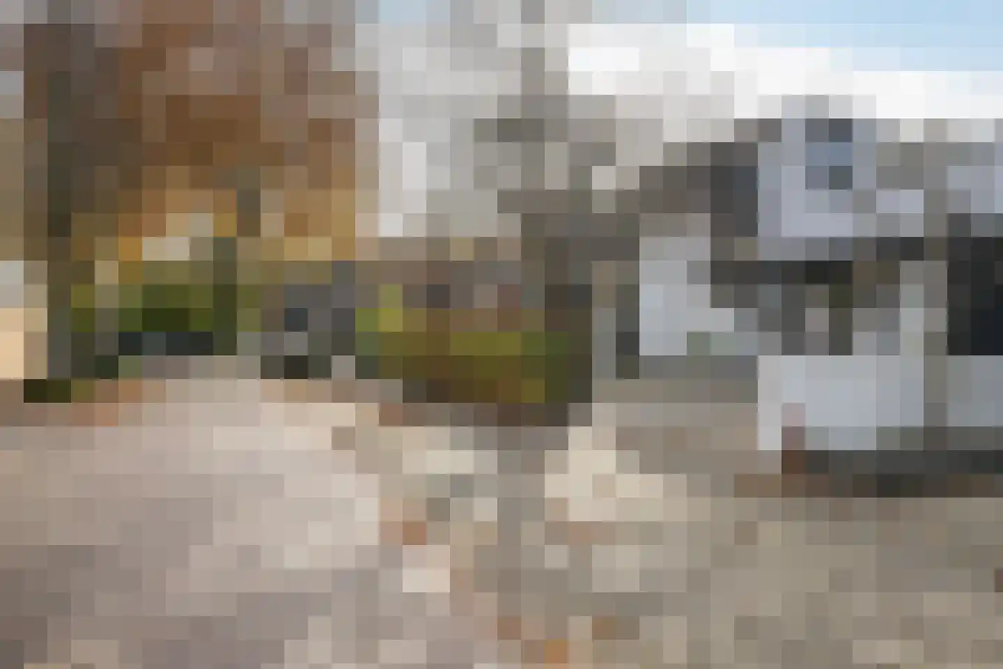 Platanendreef 107 Vlaardingen thumbnail 31