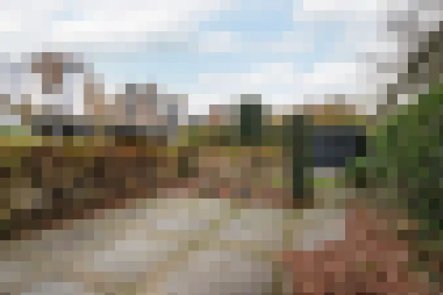 Platanendreef 107 Vlaardingen thumbnail 32