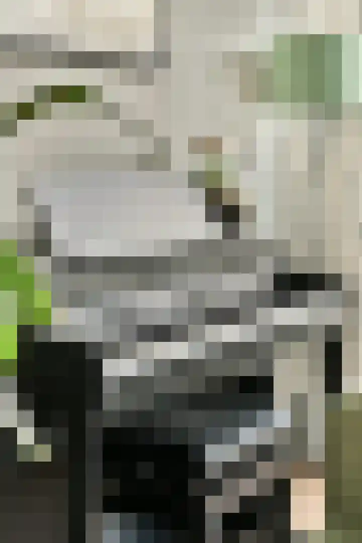 Platanendreef 12 Bleiswijk thumbnail 11