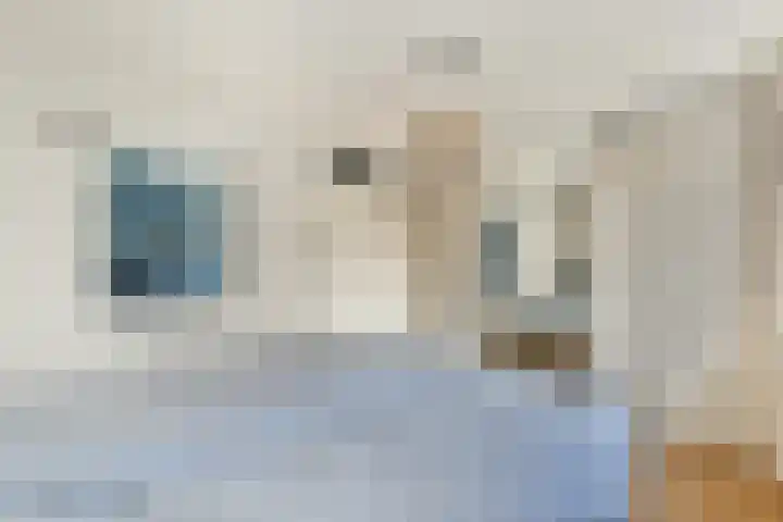 Platanendreef 12 Bleiswijk thumbnail 17