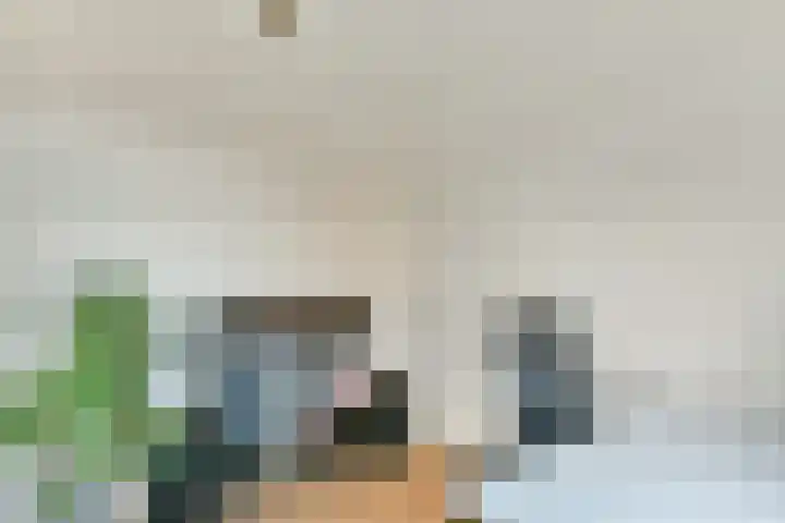 Platanendreef 12 Bleiswijk thumbnail 22