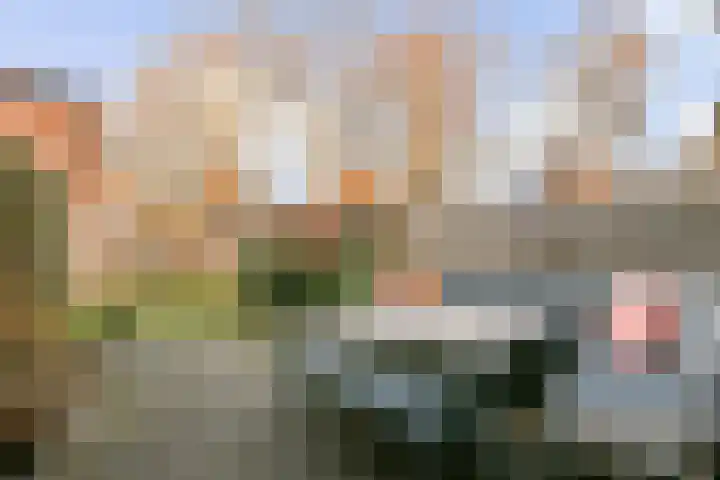 Platanendreef 12 Bleiswijk thumbnail 8
