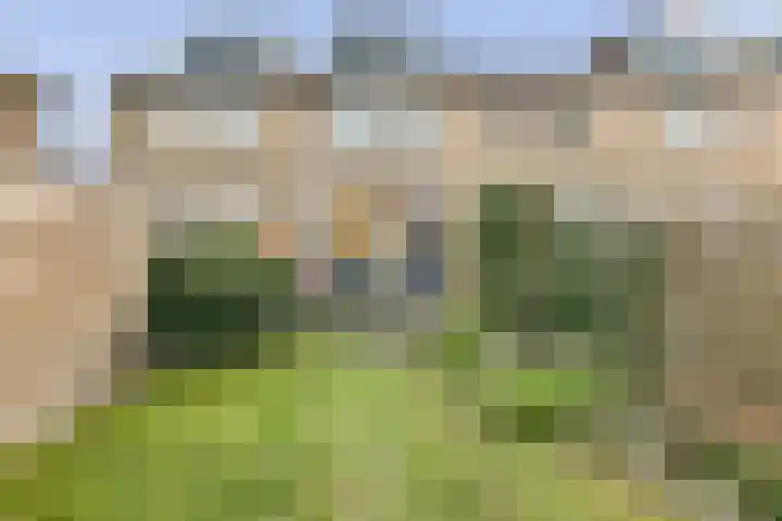 Platanendreef 12 Bleiswijk thumbnail 9