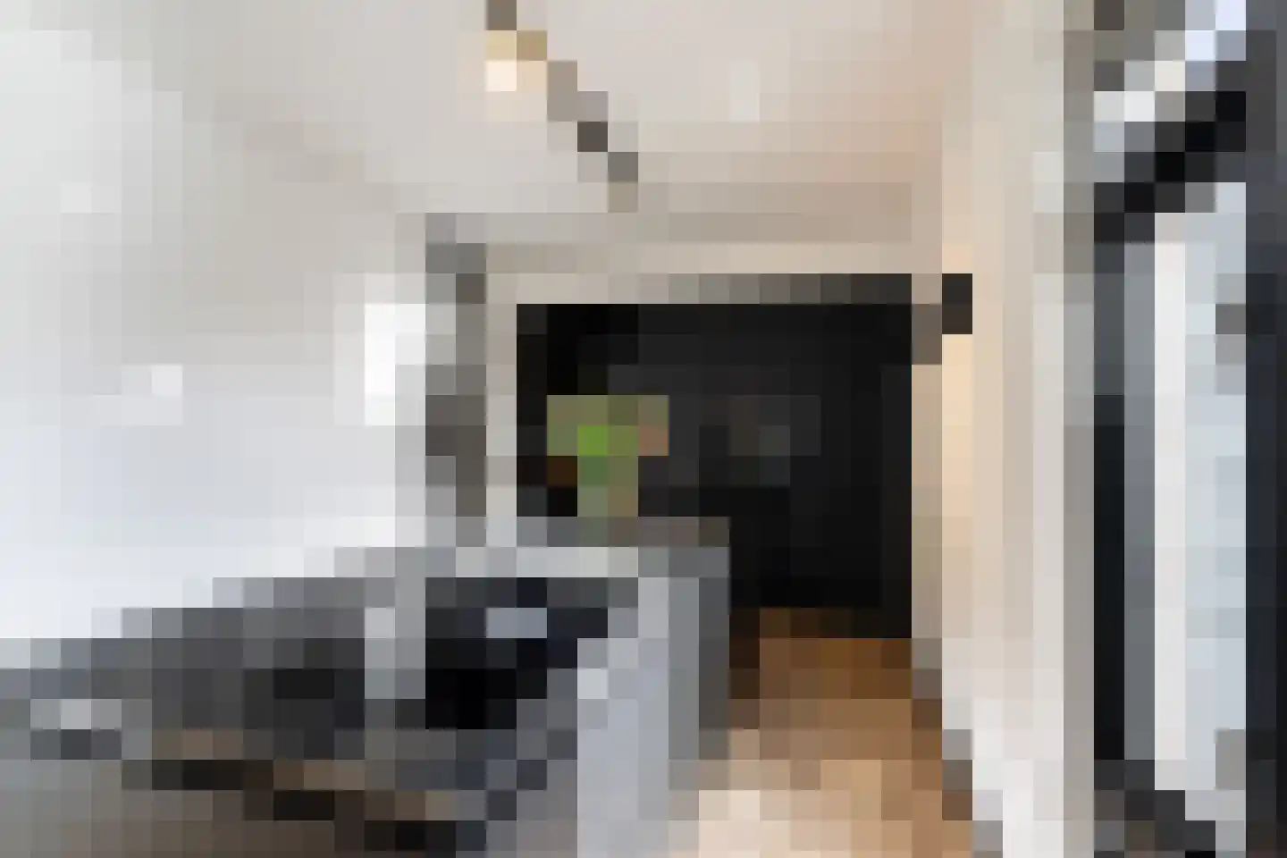 Platanendreef 122 Vlaardingen thumbnail 13
