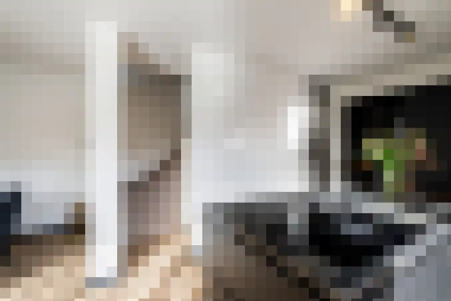 Platanendreef 122 Vlaardingen thumbnail 14