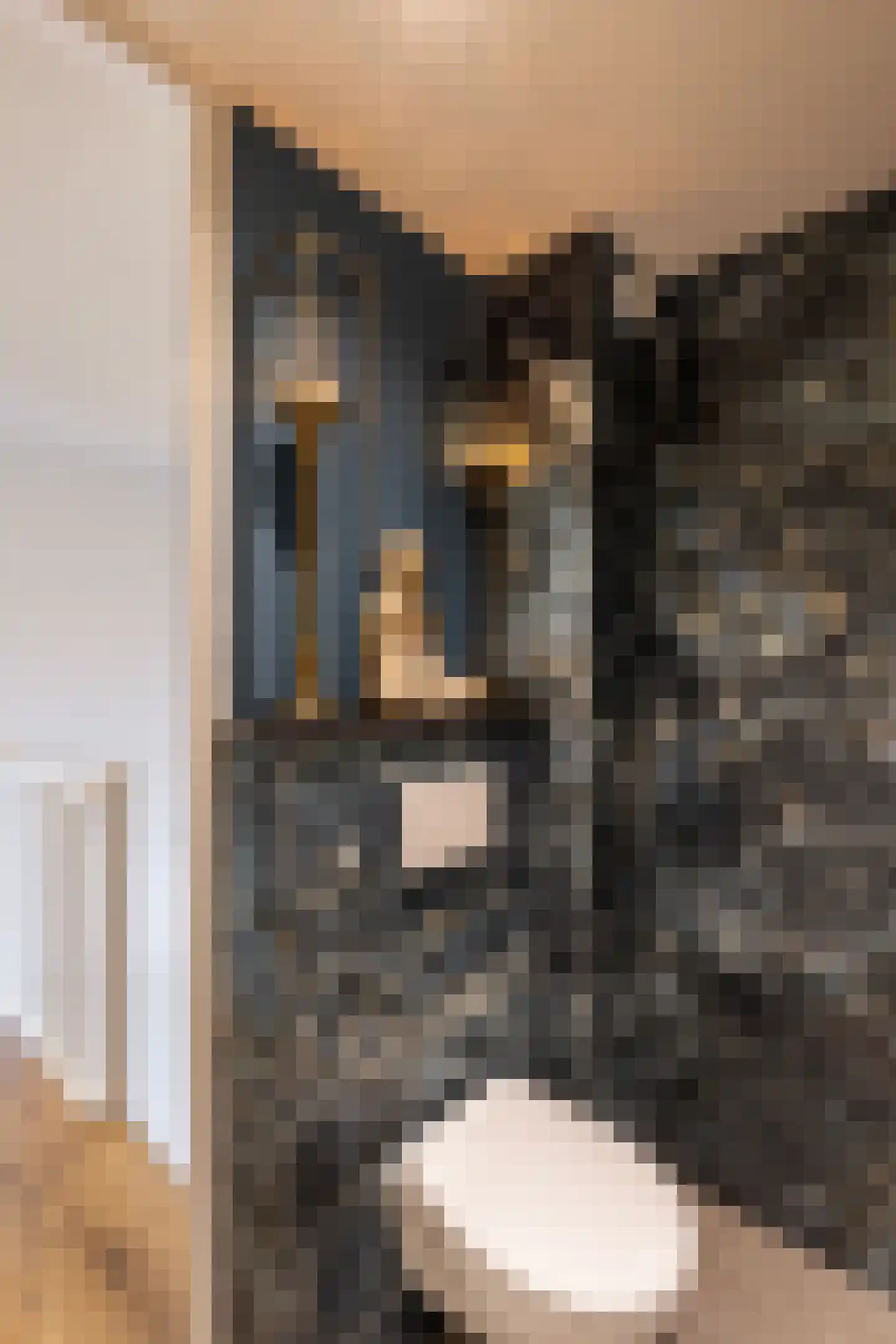 Platanendreef 122 Vlaardingen thumbnail 26