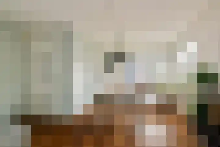 Platanendreef 136 Vlaardingen thumbnail 11