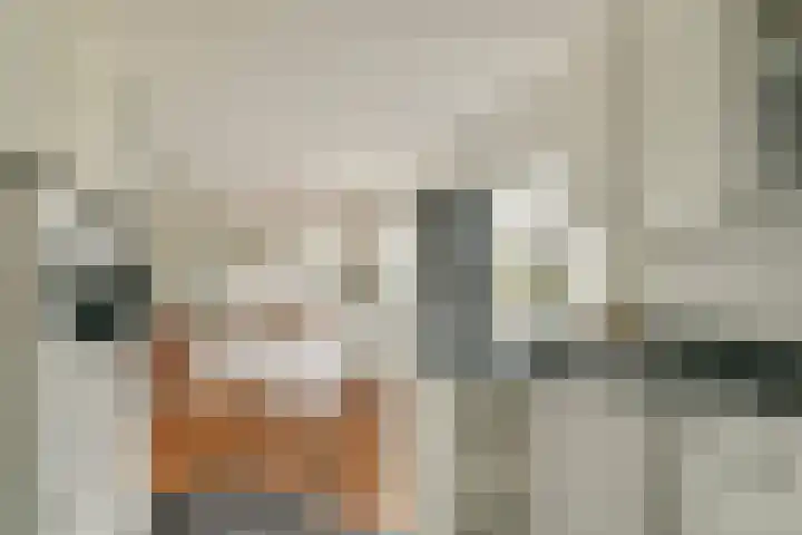 Platanendreef 136 Vlaardingen thumbnail 13