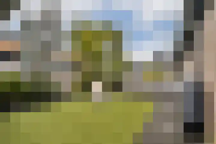 Platanendreef 136 Vlaardingen thumbnail 14